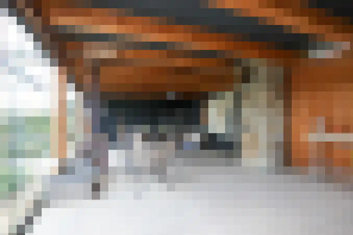 Schoonbronstraat 8 Schin op Geul thumbnail 57