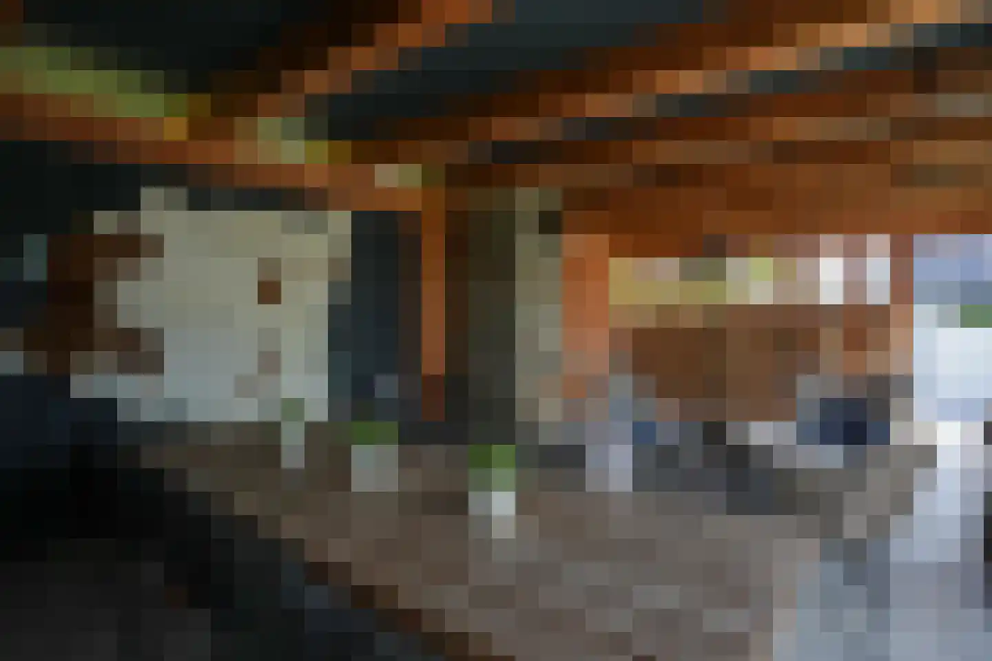 Schoonbronstraat 8 Schin op Geul thumbnail 59