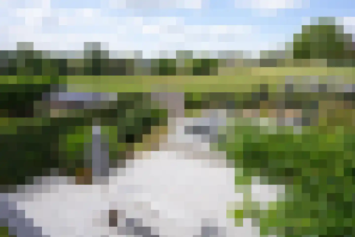 Schoonbronstraat 8 Schin op Geul thumbnail 64