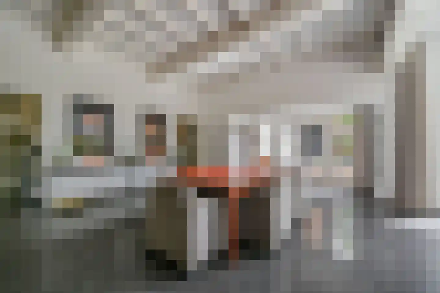 Schoonderbeeklaan 41 Putten thumbnail 11