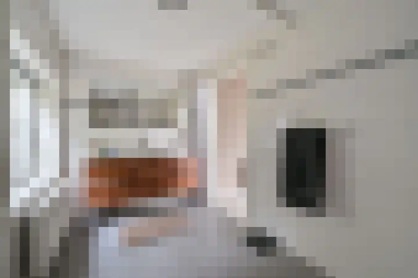 Schoonderbeeklaan 41 Putten thumbnail 31