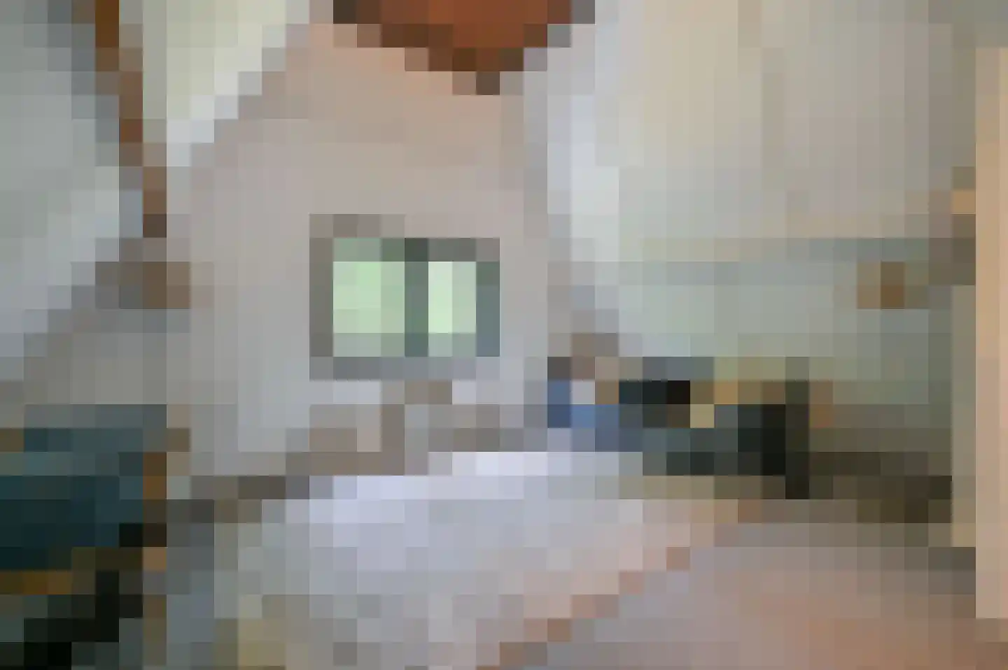 Schoonderbeeklaan 41 Putten thumbnail 35