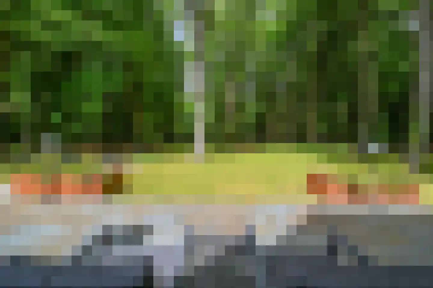 Schoonderbeeklaan 41 Putten thumbnail 43