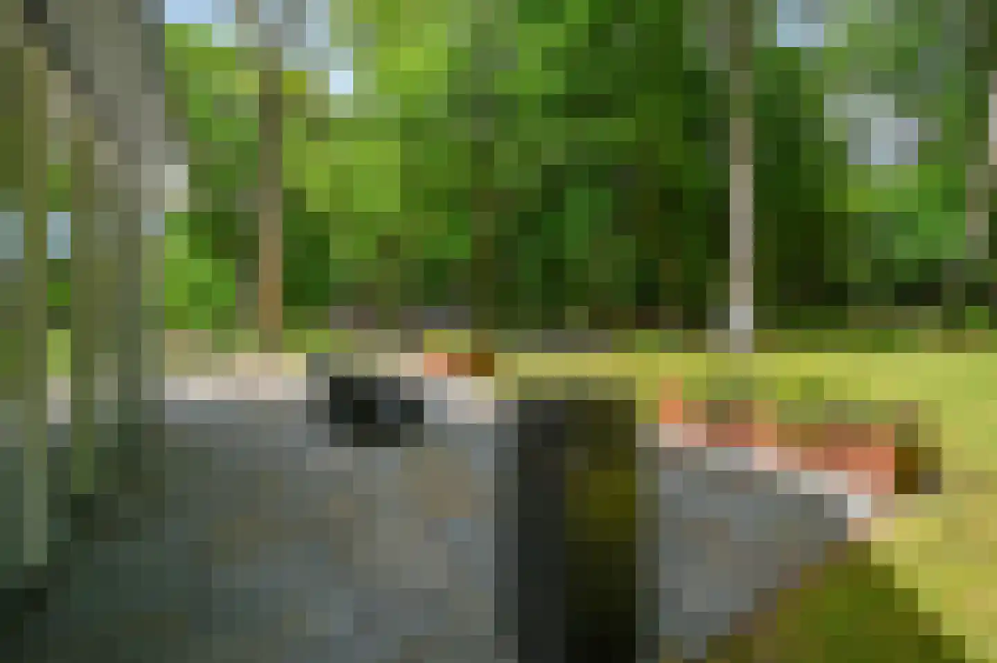 Schoonderbeeklaan 41 Putten thumbnail 44