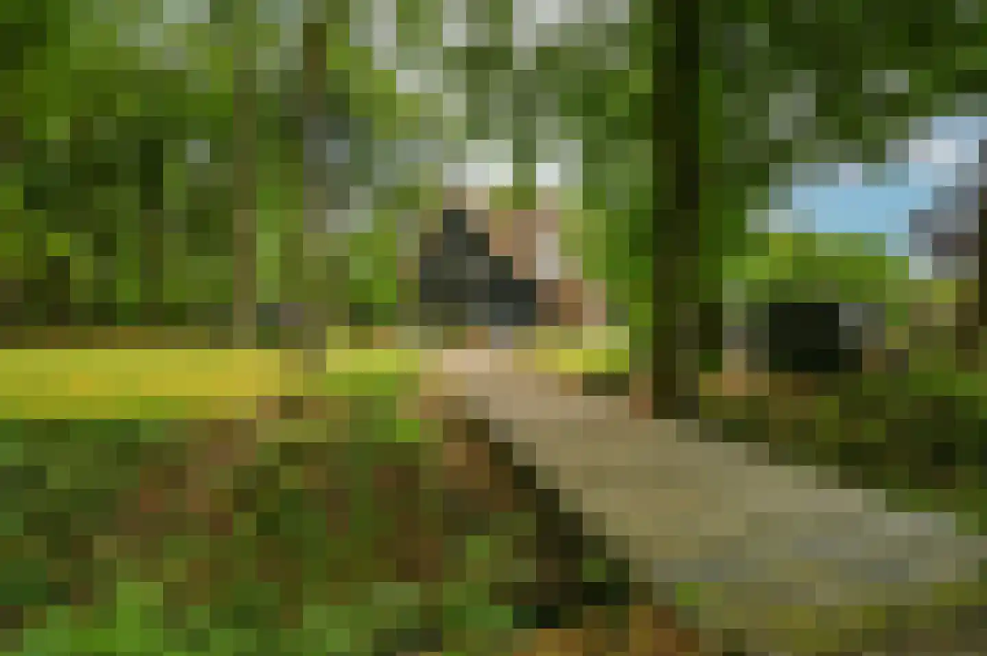 Schoonderbeeklaan 41 Putten thumbnail 48