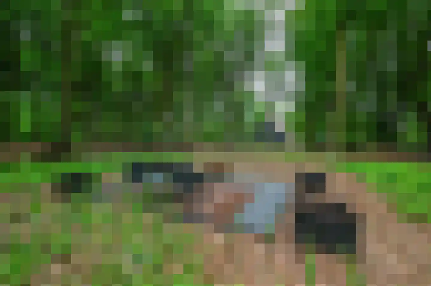 Schoonderbeeklaan 41 Putten thumbnail 52