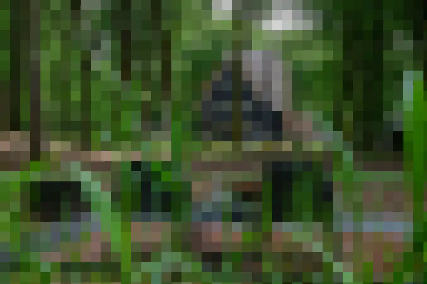 Schoonderbeeklaan 41 Putten thumbnail 53