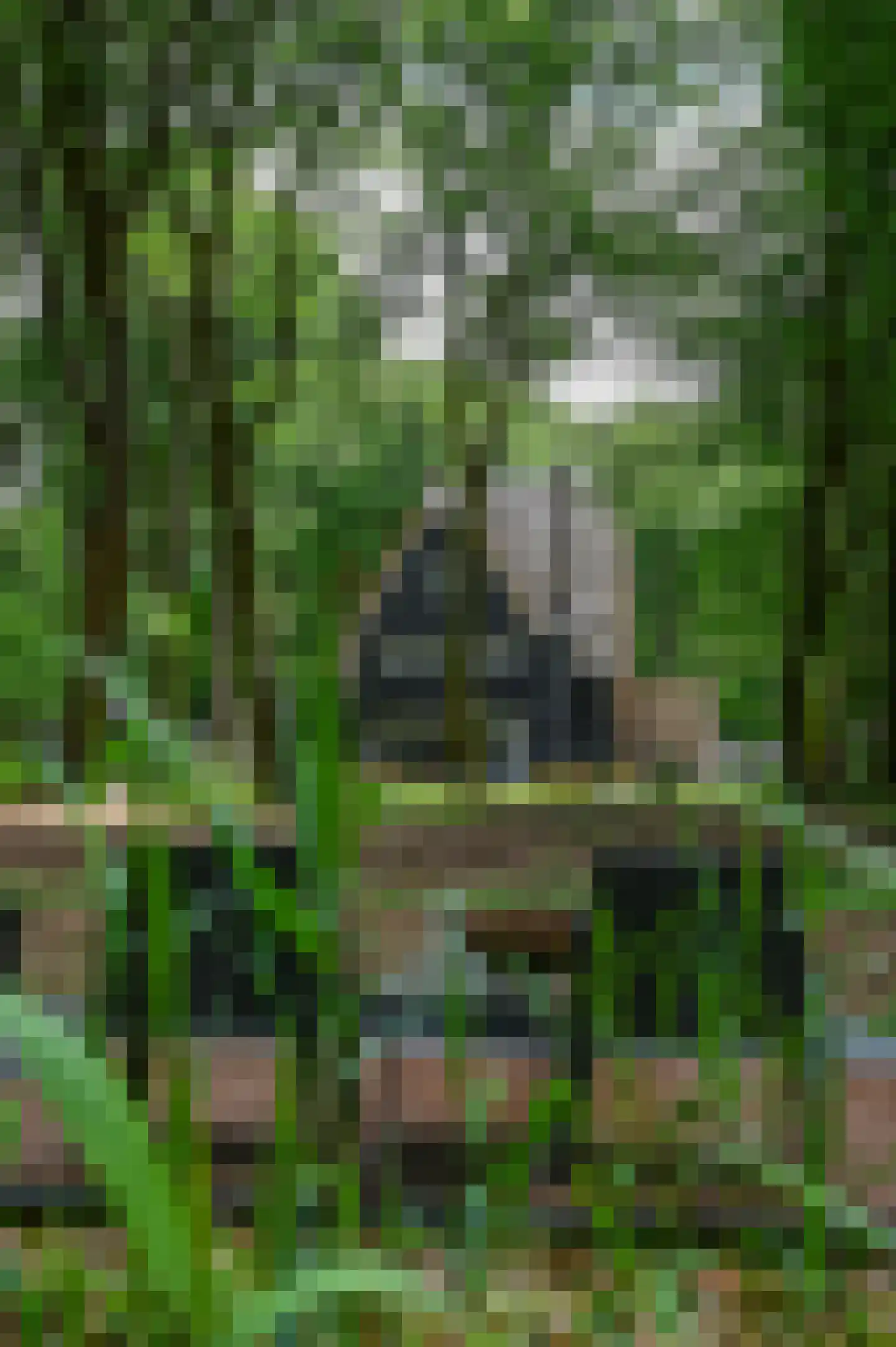 Schoonderbeeklaan 41 Putten thumbnail 54
