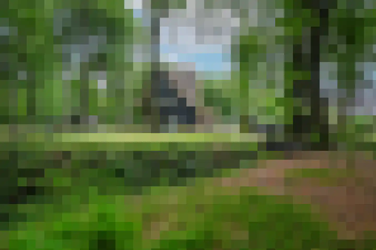 Schoonderbeeklaan 41 Putten thumbnail 55