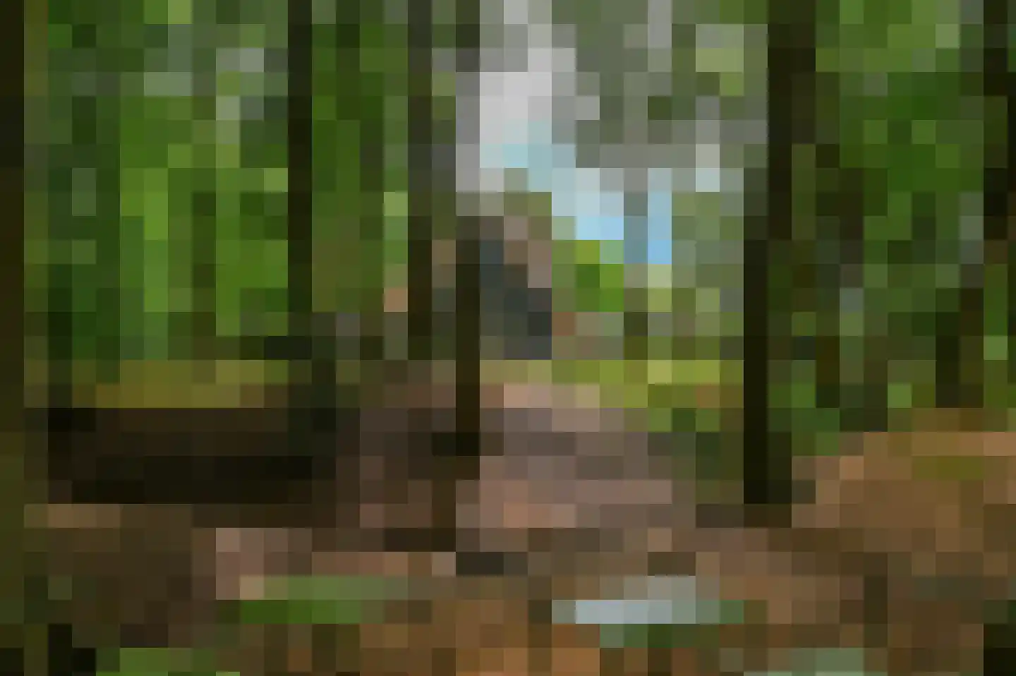 Schoonderbeeklaan 41 Putten thumbnail 58
