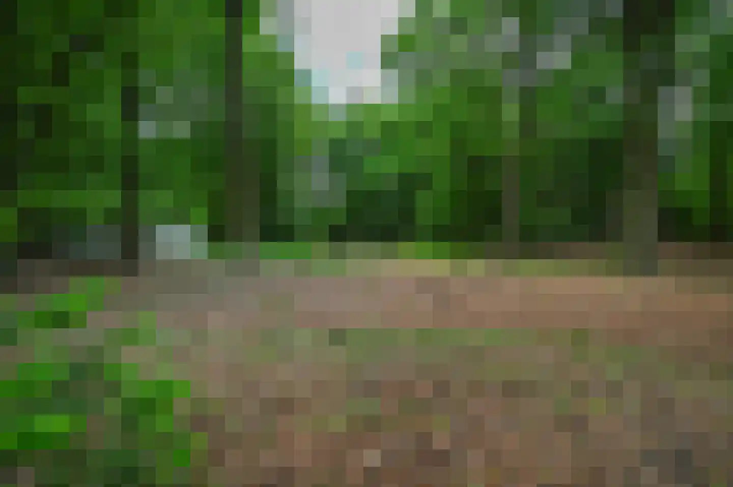 Schoonderbeeklaan 41 Putten thumbnail 60