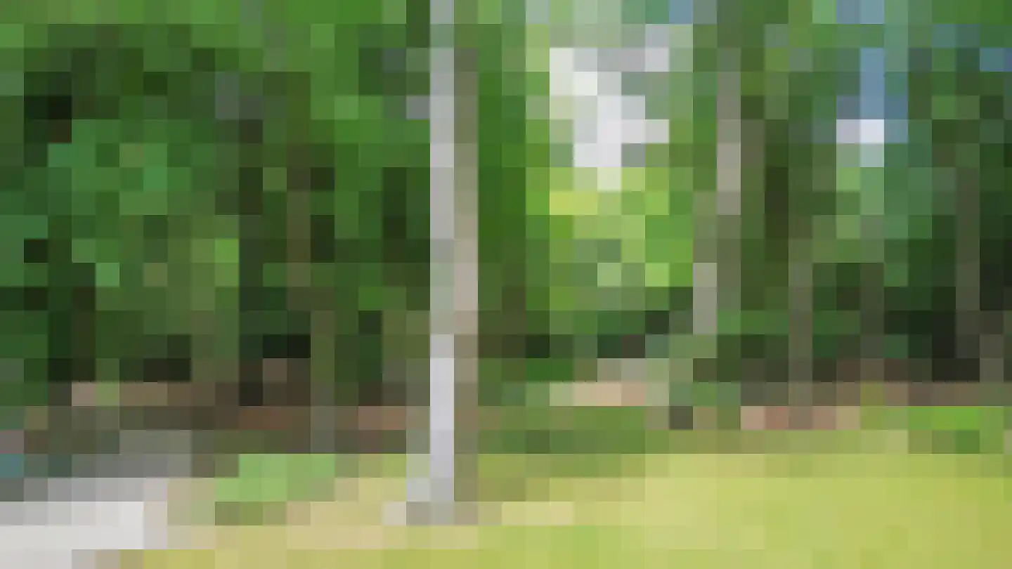 Schoonderbeeklaan 41 Putten thumbnail 61