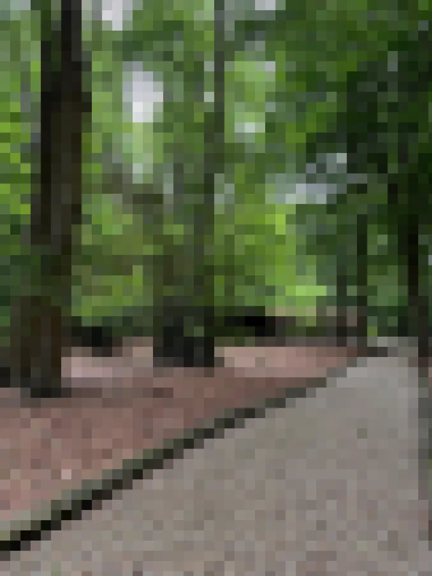 Schoonderbeeklaan 41 Putten thumbnail 62