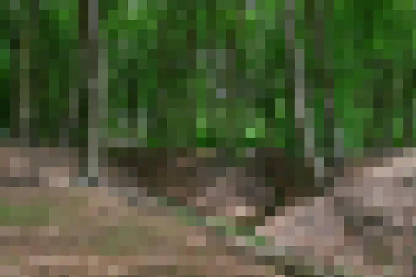 Schoonderbeeklaan 41 Putten thumbnail 62