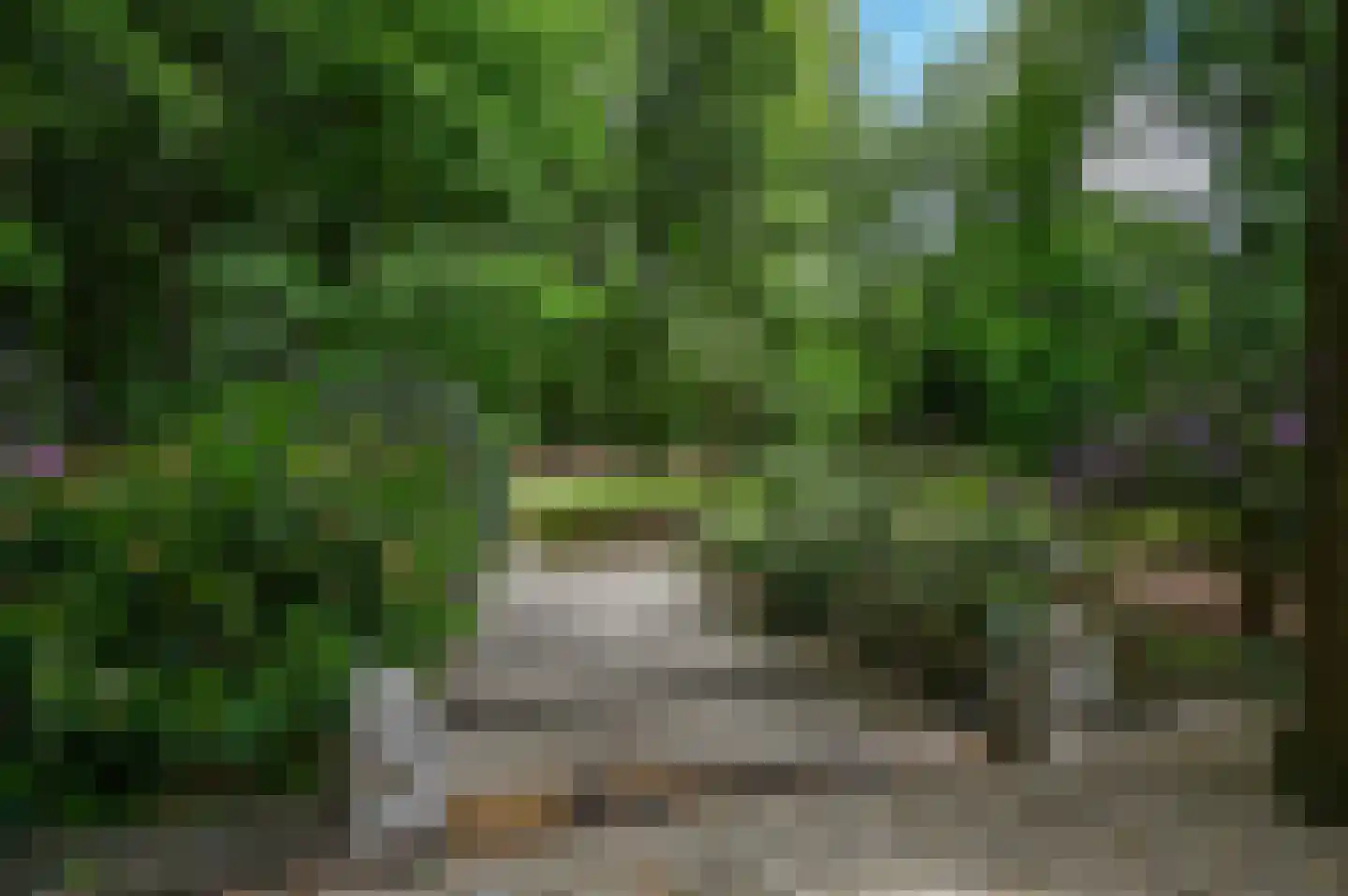 Schoonderbeeklaan 41 Putten thumbnail 63