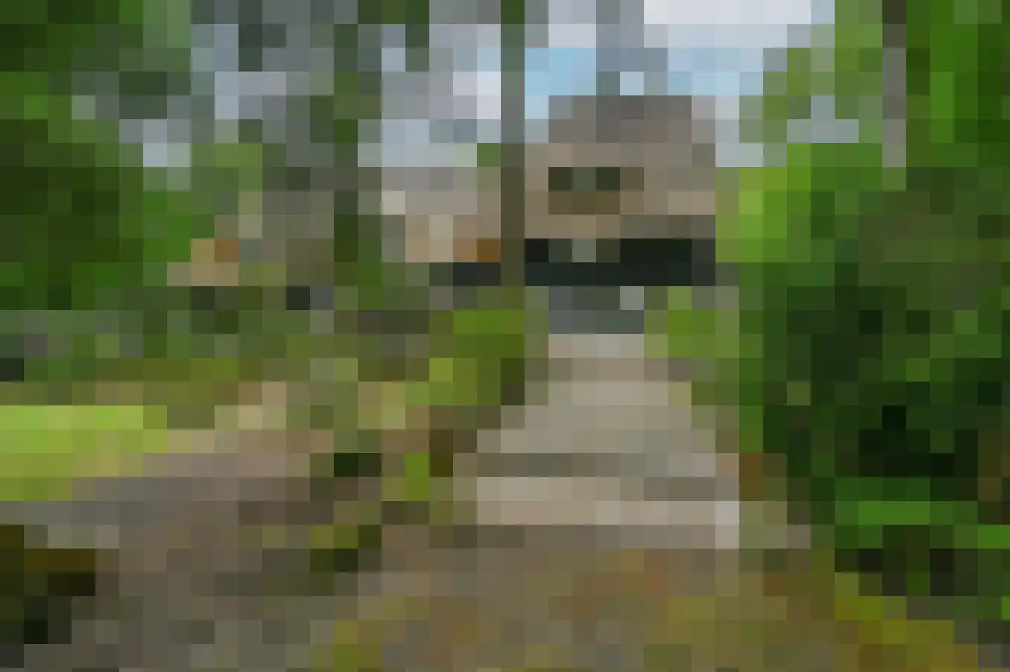 Schoonderbeeklaan 41 Putten thumbnail 64