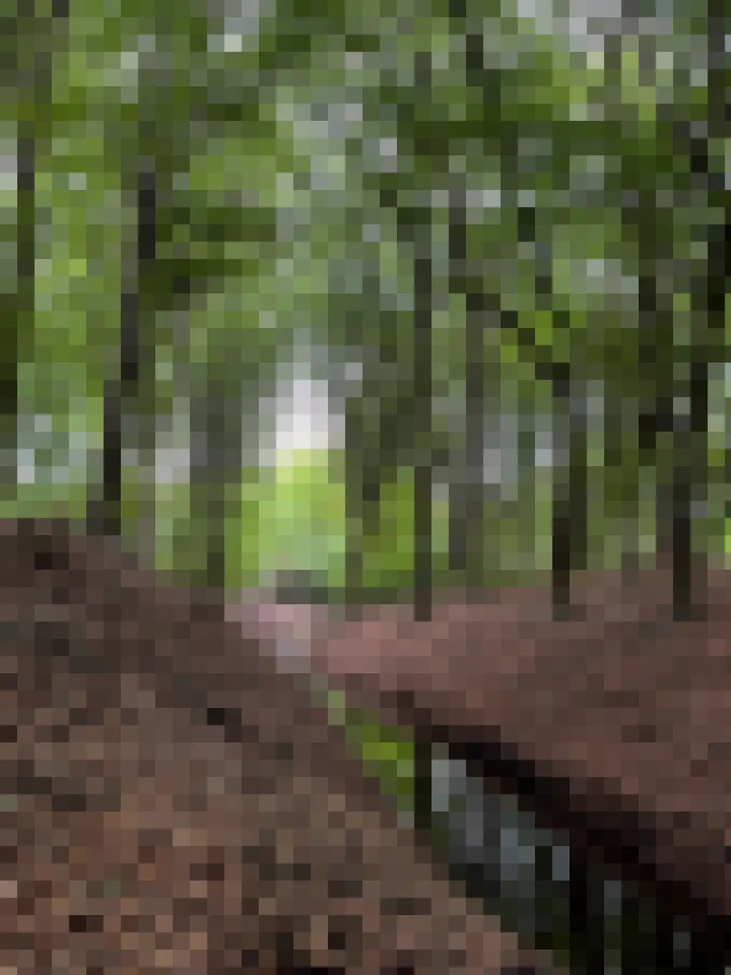 Schoonderbeeklaan 41 Putten thumbnail 65