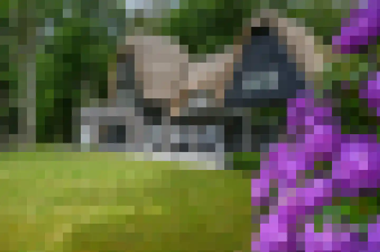 Schoonderbeeklaan 41 Putten thumbnail 68