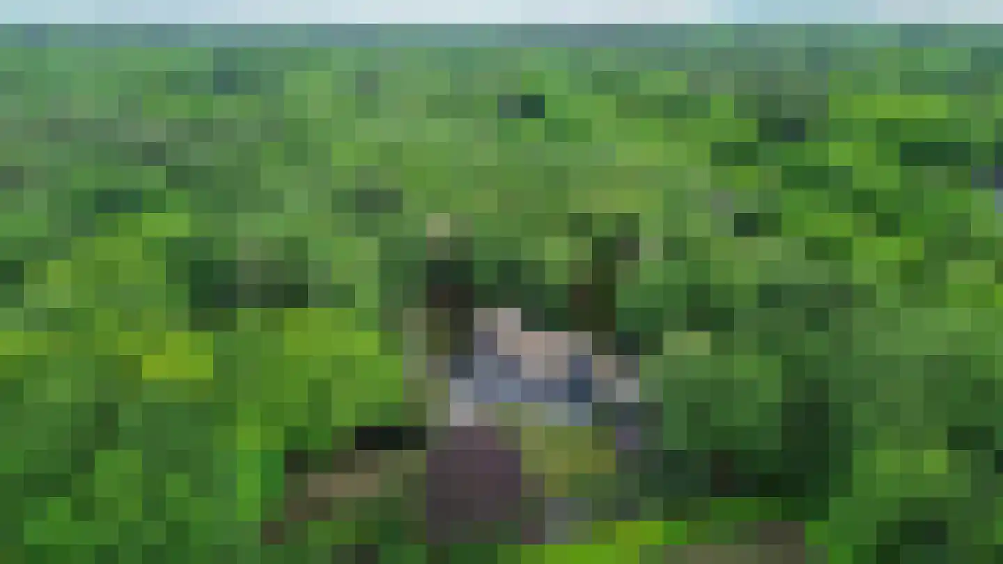 Schoonderbeeklaan 41 Putten thumbnail 69