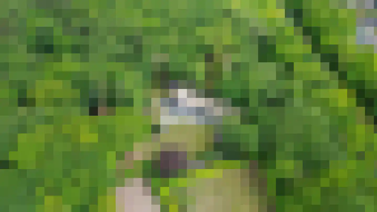 Schoonderbeeklaan 41 Putten thumbnail 70