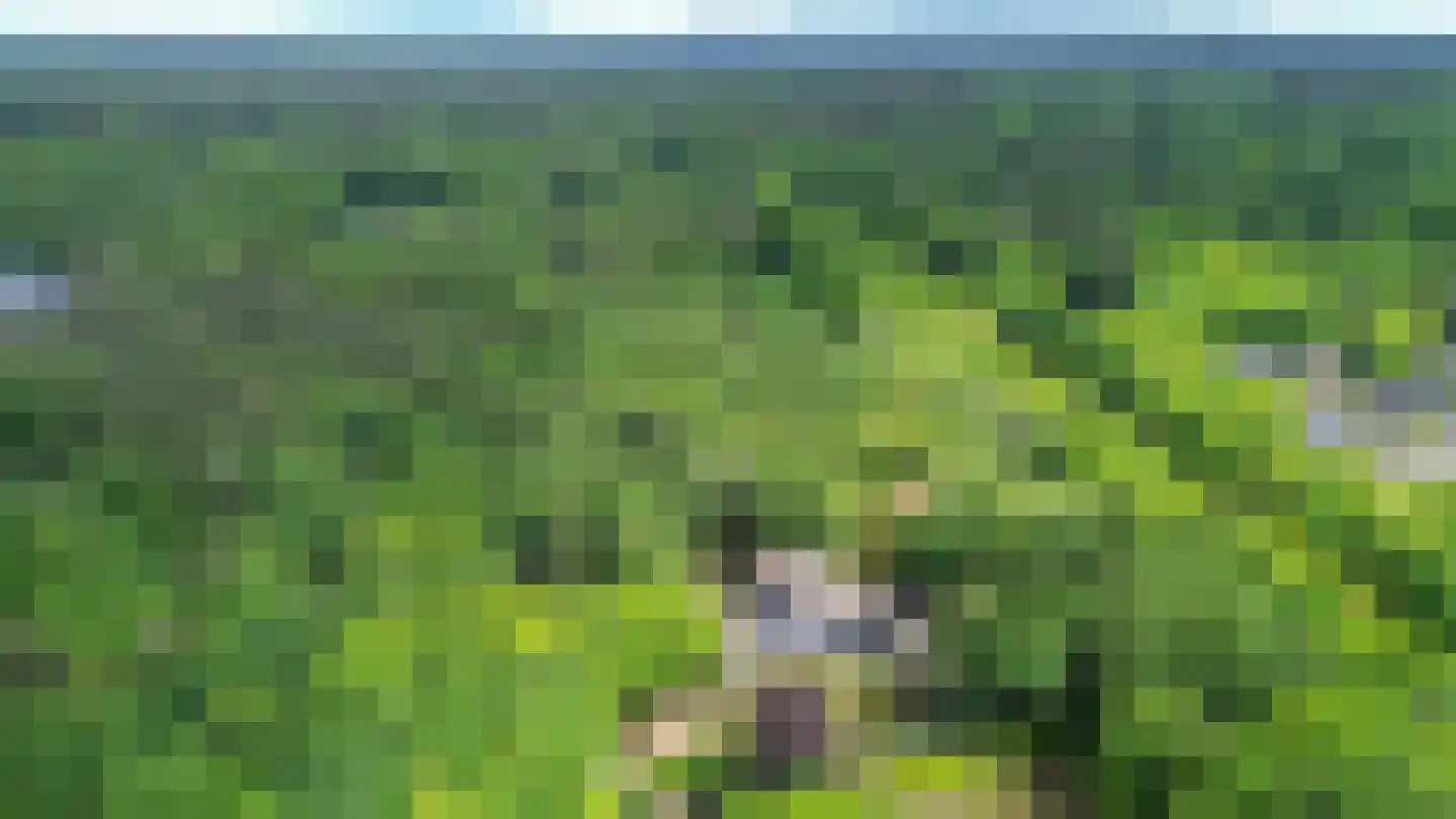 Schoonderbeeklaan 41 Putten thumbnail 71