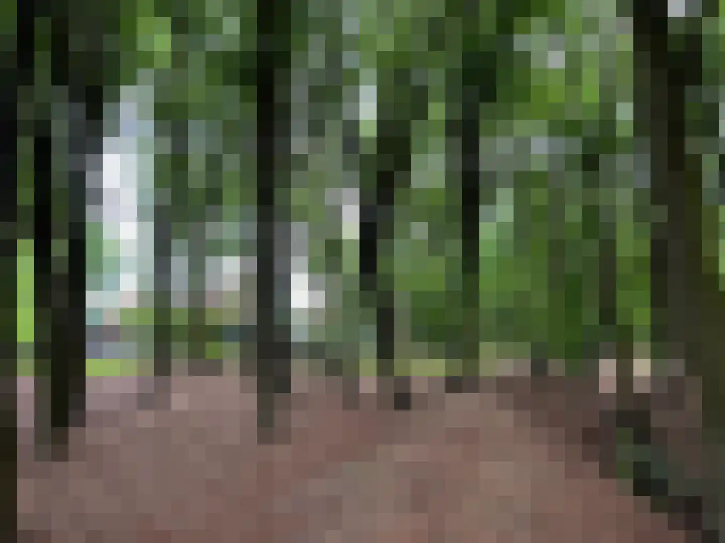 Schoonderbeeklaan 41 Putten thumbnail 72