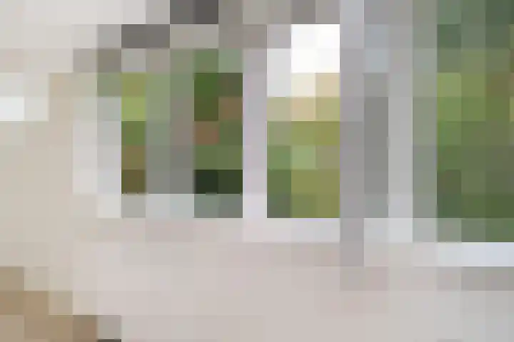 Schoonderloostraat 155 D Rotterdam thumbnail 10
