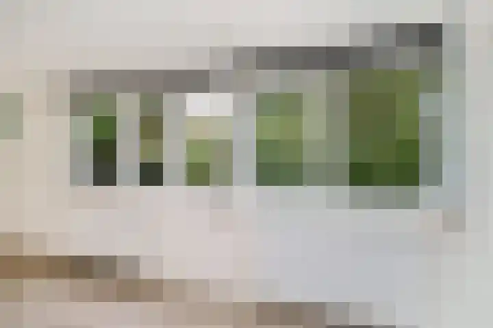 Schoonderloostraat 155 D Rotterdam thumbnail 11