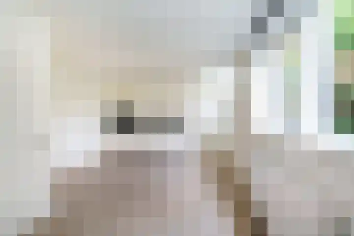 Schoonderloostraat 155 D Rotterdam thumbnail 12