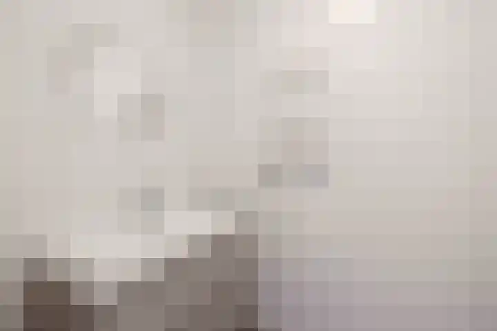Schoonderloostraat 155 D Rotterdam thumbnail 13