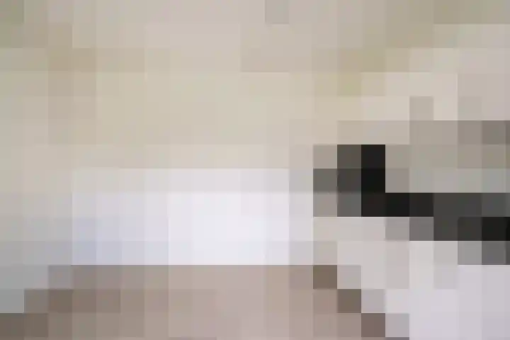 Schoonderloostraat 155 D Rotterdam thumbnail 15