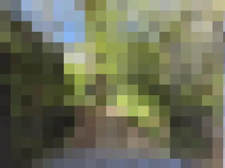Schoonderloostraat 155 D Rotterdam thumbnail 16