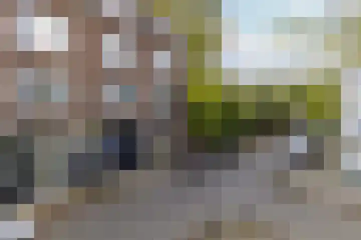 Schoonderloostraat 155 D Rotterdam thumbnail 17