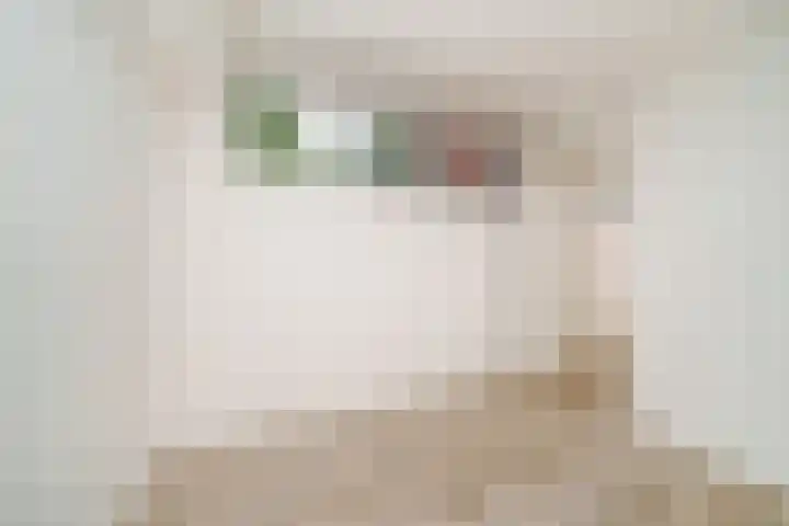 Schoonderloostraat 155 D Rotterdam thumbnail 19