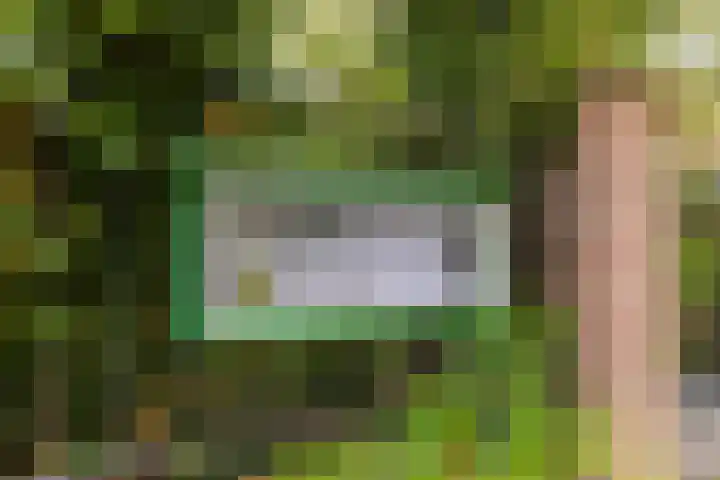 Schoonderloostraat 155 D Rotterdam thumbnail 19