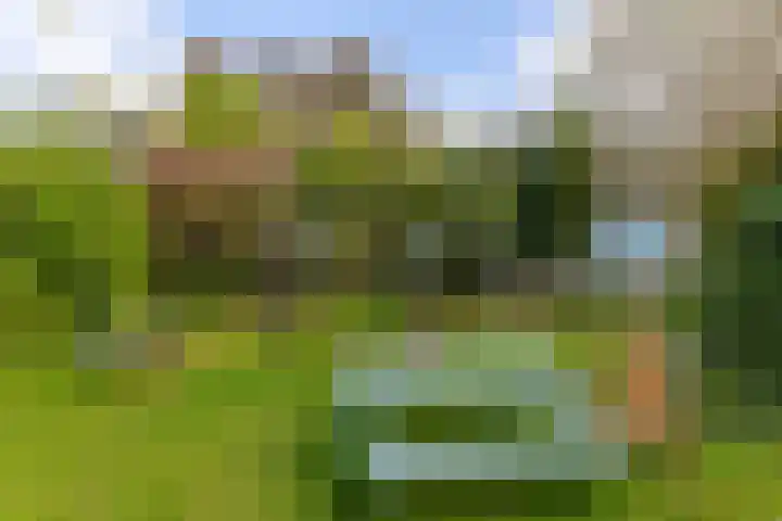 Schoonderloostraat 155 D Rotterdam thumbnail 20