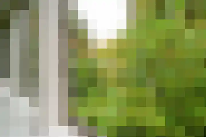 Schoonderloostraat 155 D Rotterdam thumbnail 20