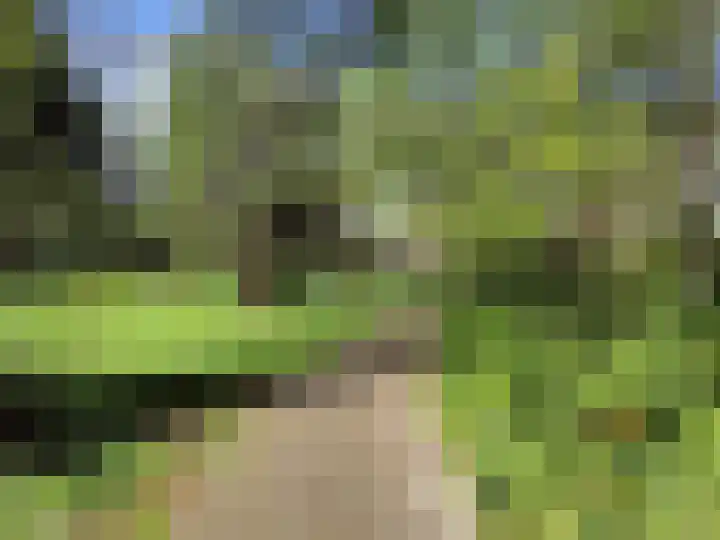 Schoonderloostraat 155 D Rotterdam thumbnail 21