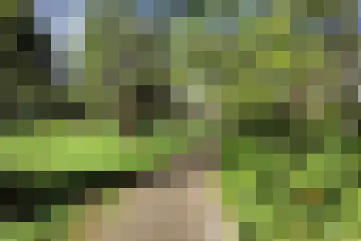 Schoonderloostraat 155 D Rotterdam thumbnail 22