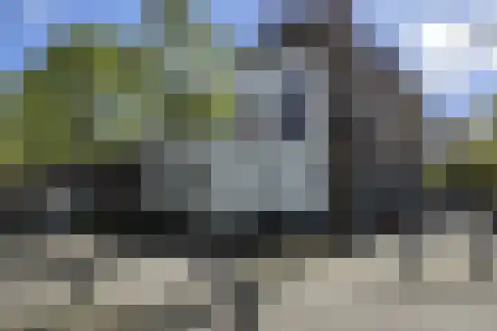 Schoonderloostraat 155 D Rotterdam thumbnail 23