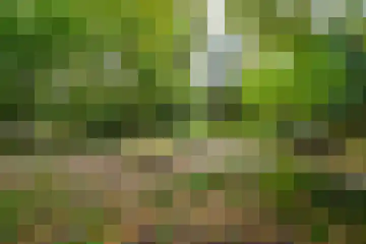Schoonderloostraat 155 D Rotterdam thumbnail 25
