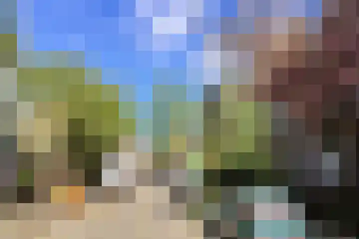 Schoonderloostraat 155 D Rotterdam thumbnail 25