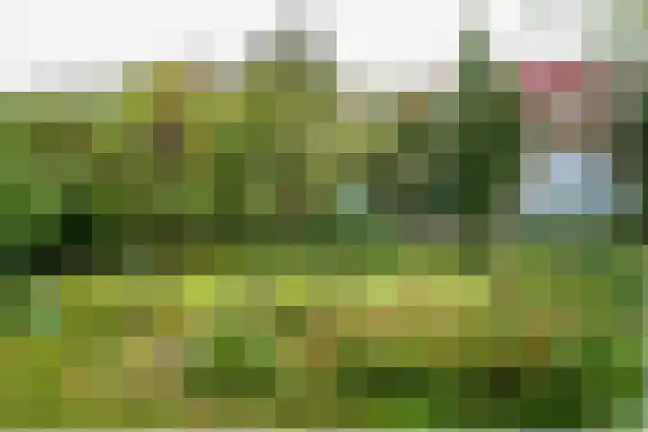 Schoonderloostraat 155 D Rotterdam thumbnail 26