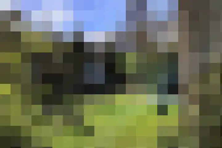 Schoonderloostraat 155 D Rotterdam thumbnail 27