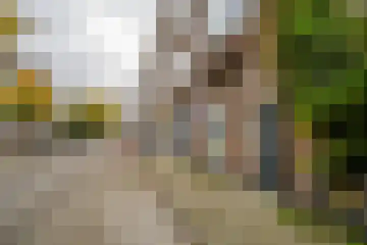 Schoonderloostraat 155 D Rotterdam thumbnail 27