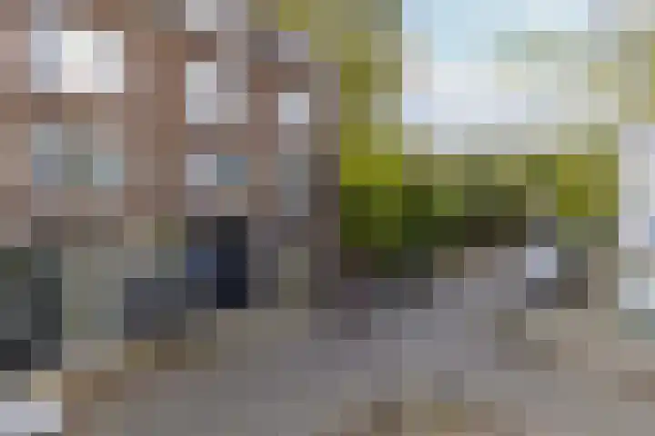 Schoonderloostraat 155 D Rotterdam thumbnail 5