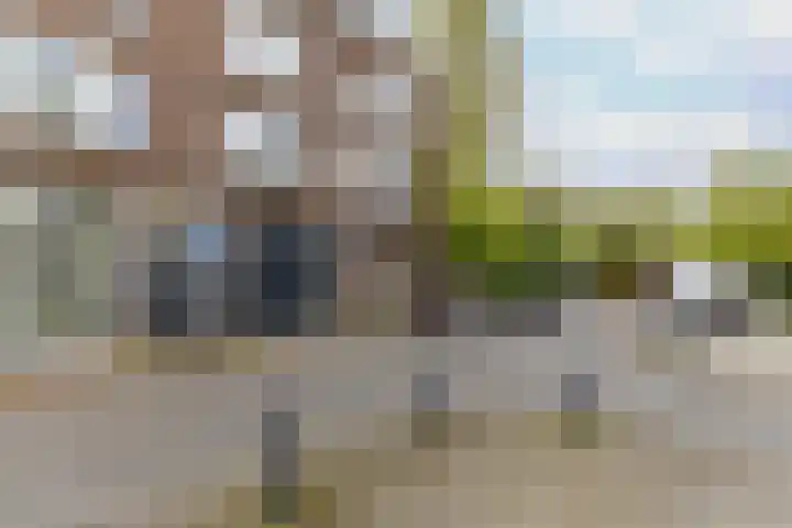Schoonderloostraat 155 D Rotterdam thumbnail 6