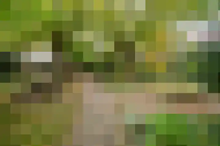 Schoonderloostraat 155 D Rotterdam thumbnail 7