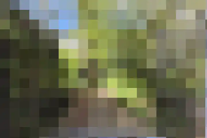 Schoonderloostraat 155 D Rotterdam thumbnail 7