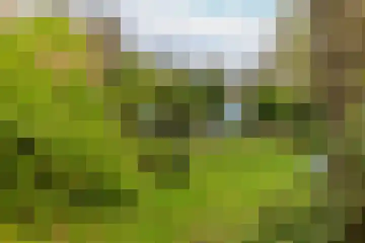 Schoonderloostraat 155 D Rotterdam thumbnail 8
